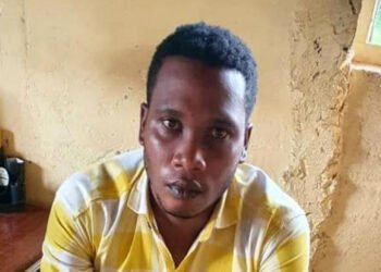 TikToker released after apologising for insulting ex-minister Kibuule