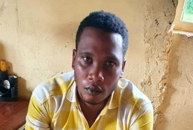 TikToker released after apologising for insulting ex-minister Kibuule